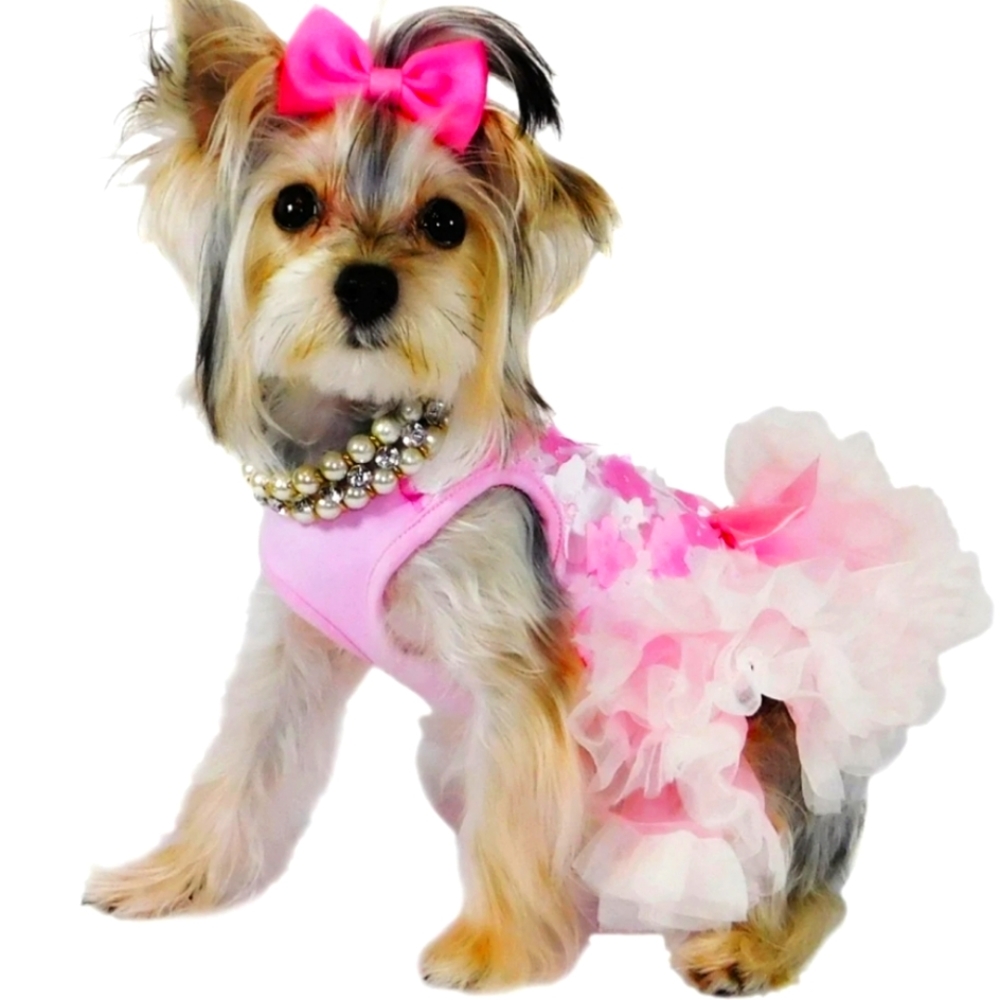Coco Lane Couture Born to wear Diamond Dog Tutu pink Dress Size S (~17 lbs) New